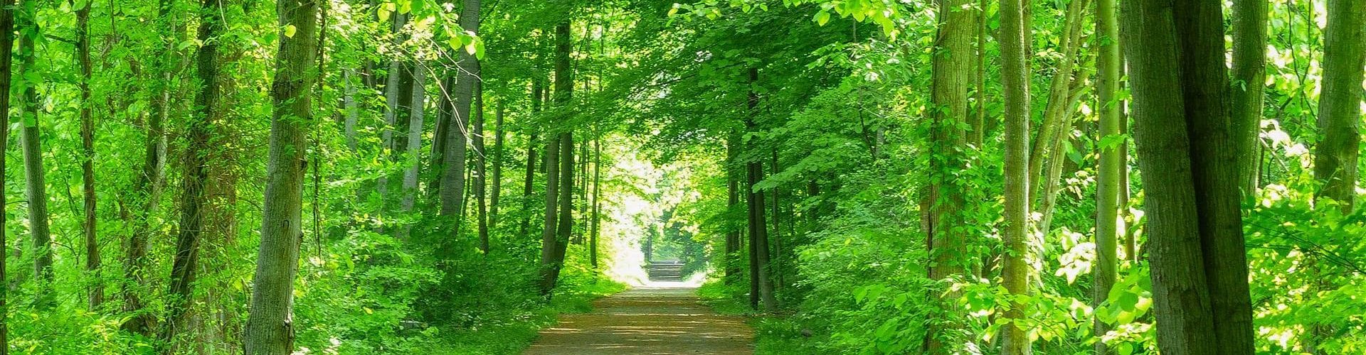 Kal-Haven Trail, South Haven, Michigan